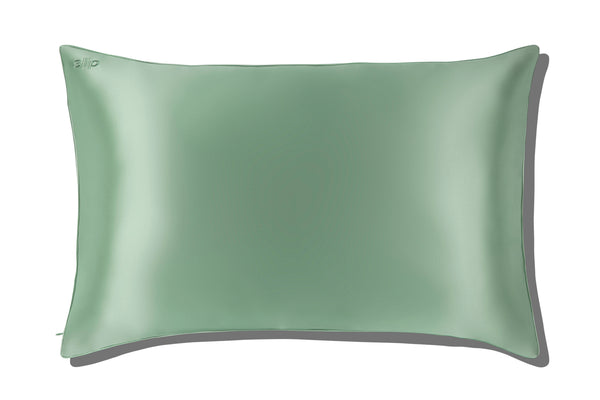 Pistachio Queen Zippered Pillowcase